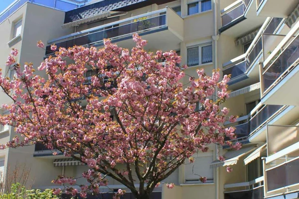 Résidence service senior Tours